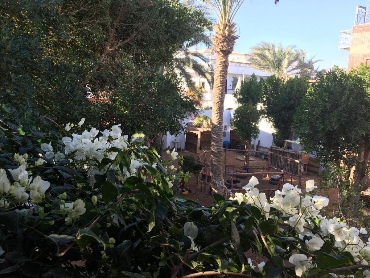 Sunrise Dahab Lodge Экстерьер фото